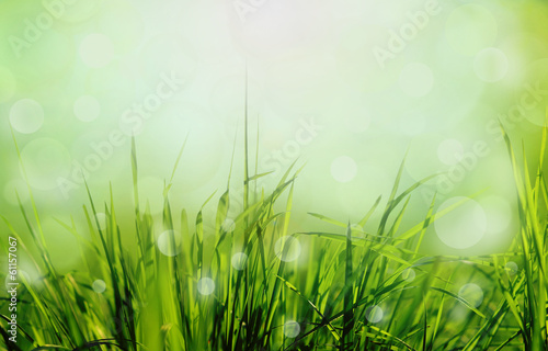 abstract nature background