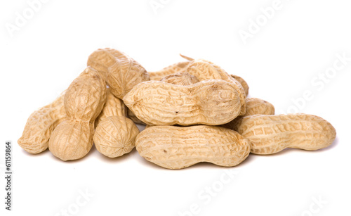 pile of momkey nuts photo