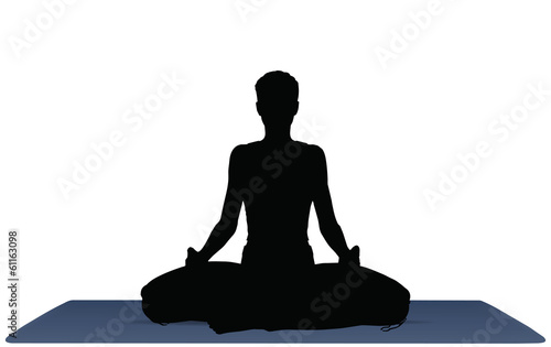 vector illustration of Yoga positions in Meditation pose
