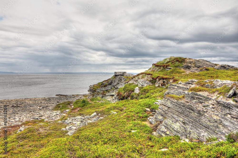 Northern Norwegian landscape