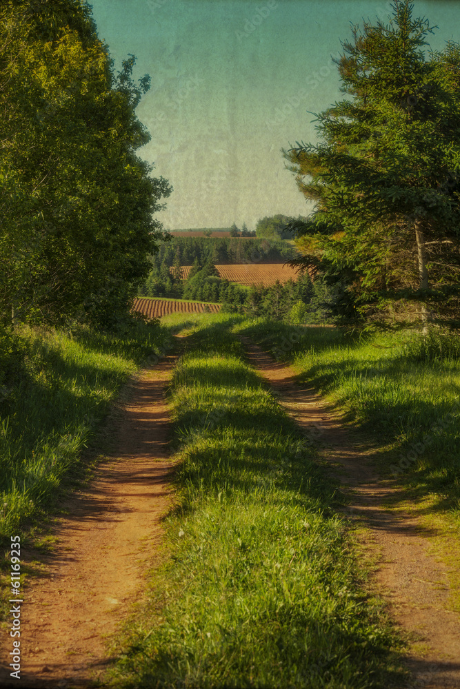 Country Road. Country Road.