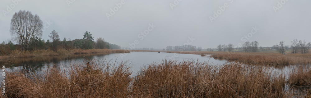 Fog Fog