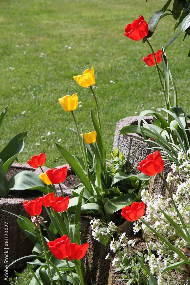 Obraz premium Strahlender Tulpengarten