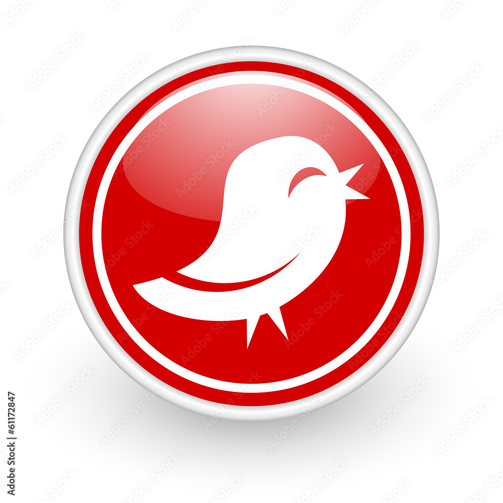 twitter icon twitter icon
