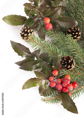 Christmas seasonal border of holly, mistletoe, sprigs with pine