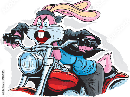 Biker Rabbit