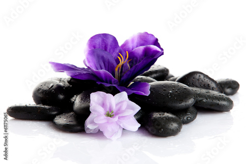 Zen pebbles. background of a spa with stones