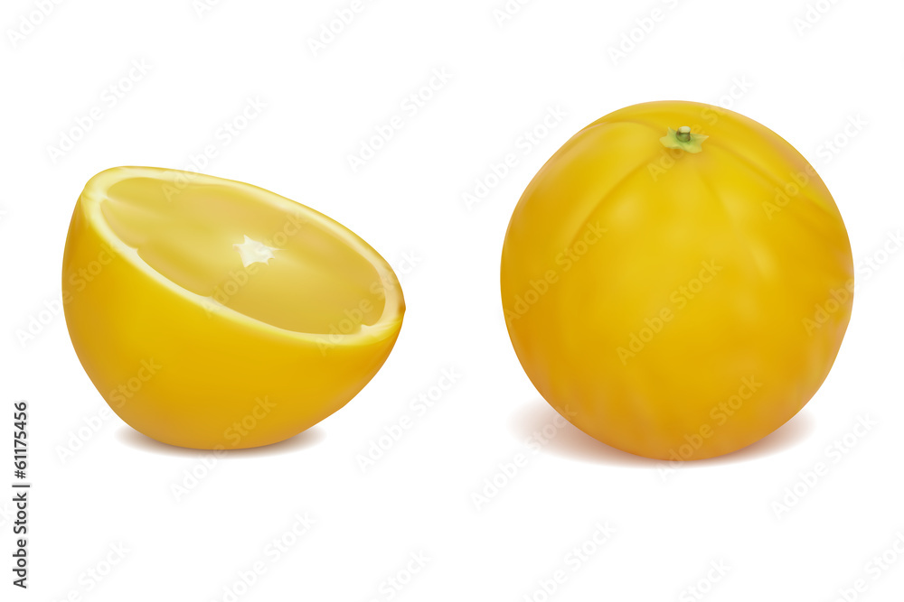 Ripe oranges. Vector illustration Ripe oranges. Vector illustration