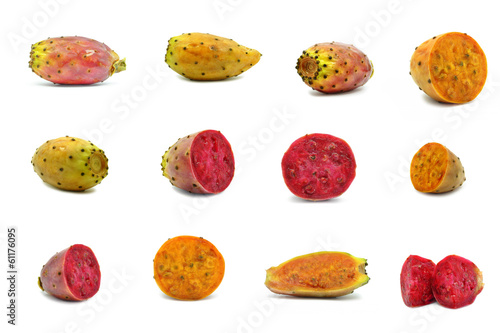 Photography prickly pear