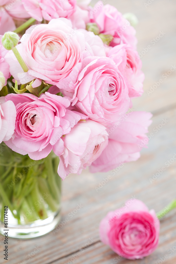 White and pink ranunculus (buttercup) in vase White and pink ranunculus (buttercup) in vase