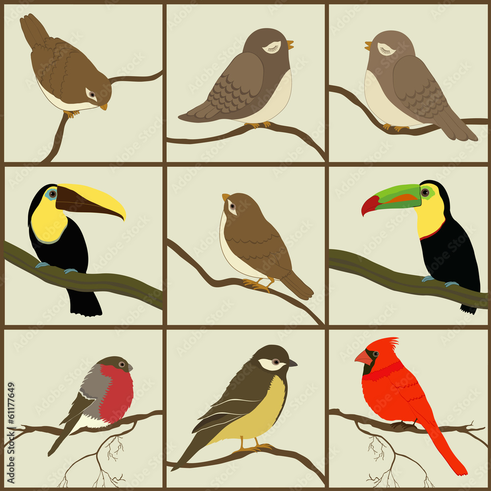Fototapeta premium Set of birds