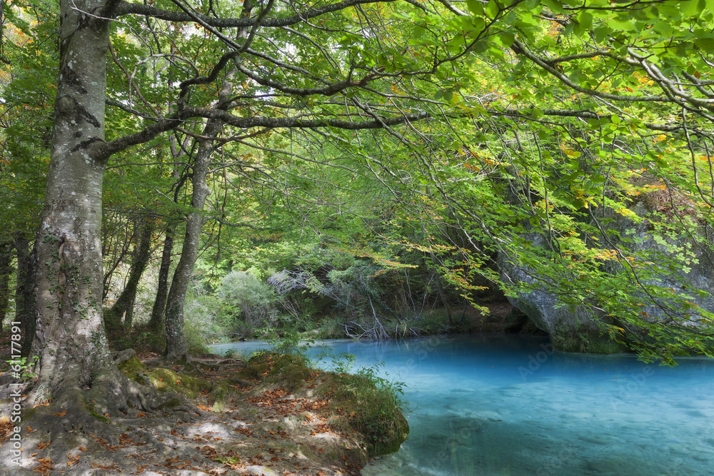Pond with clear blue water in the forest. Pond with clear blue water in the forest.
