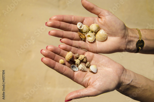 Shells on the hands. Holidays in Cuba, Caribbean beach.