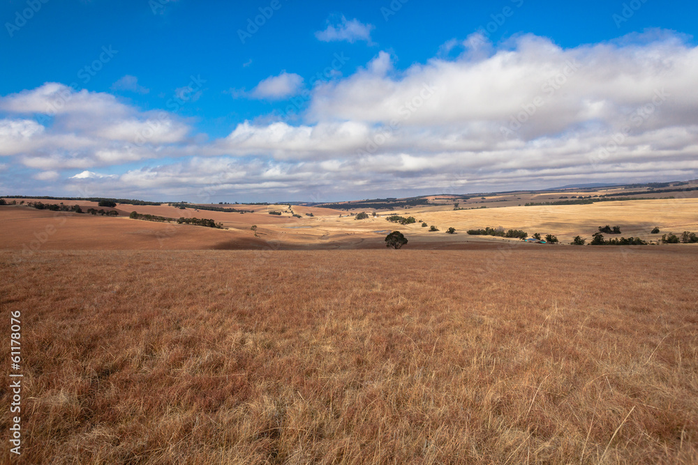 Rural Landscape Farming Terrain Colors Rural Landscape Farming Terrain Colors