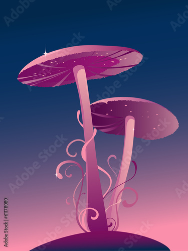 Magic Mushrooms