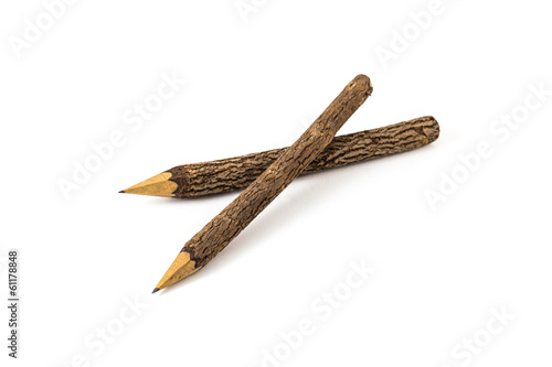 bunch of pencils stylized tree branch
