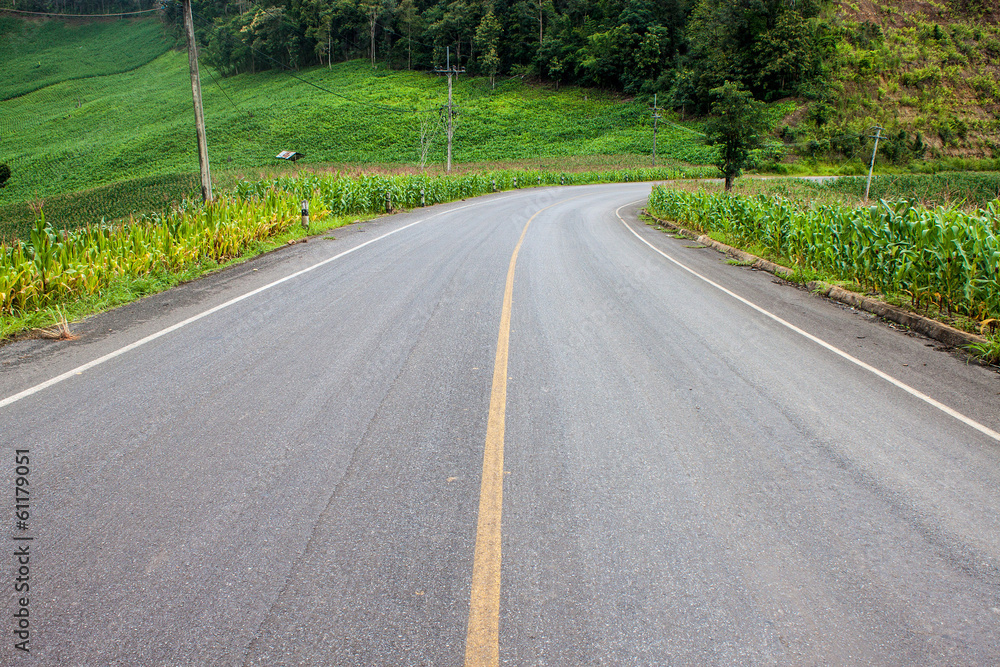 Road in corn fields in northern Thailand Road in corn fields in northern Thailand