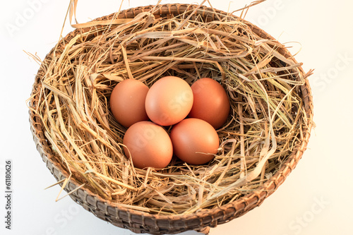 Brown Eggs on white background