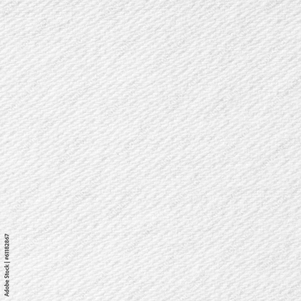 Fototapeta premium White canvas background