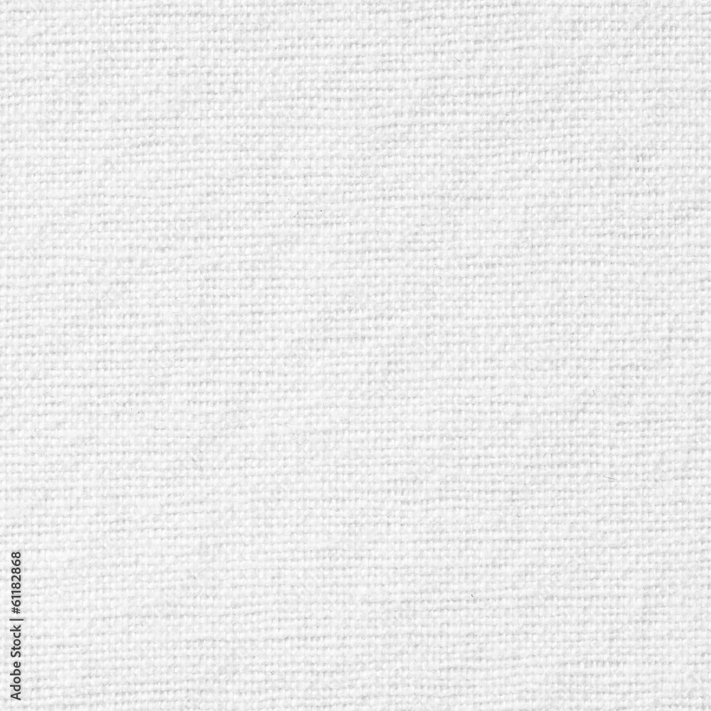 White canvas background White canvas background