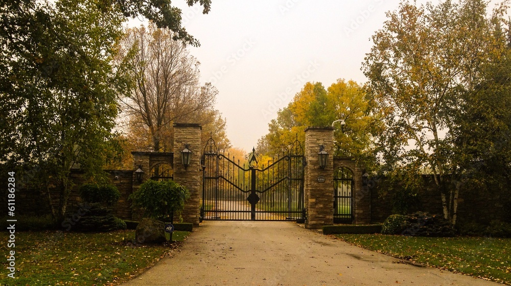 Fototapeta premium iron gate