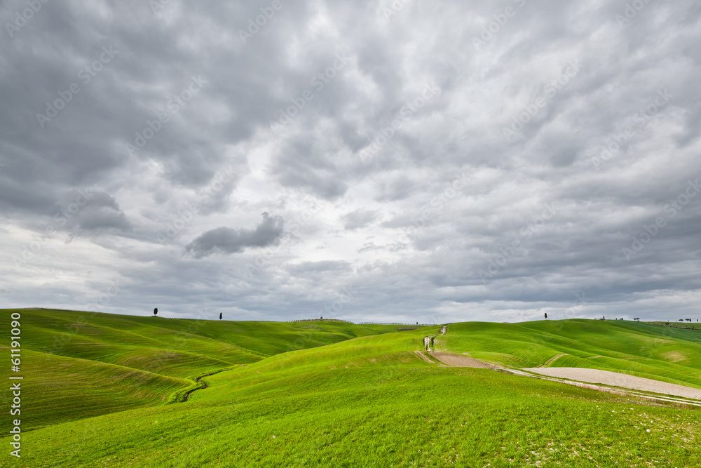 Fototapeta premium Campagna toscana con cipressi
