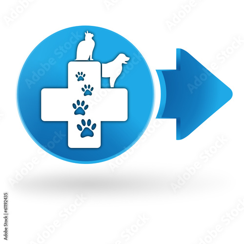 clinique vétérinaire sur symbole web bleu