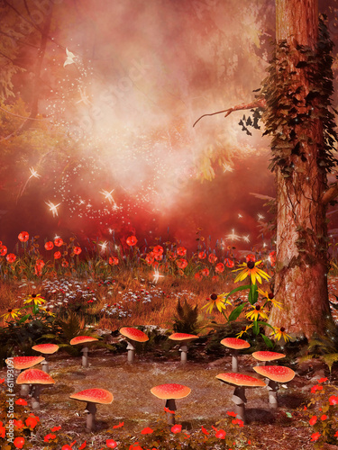 Fototapeta Krąg muchomorów w kolorowym lesie