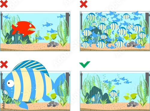 Illustrations depicting the good and bad maintenance aquarium