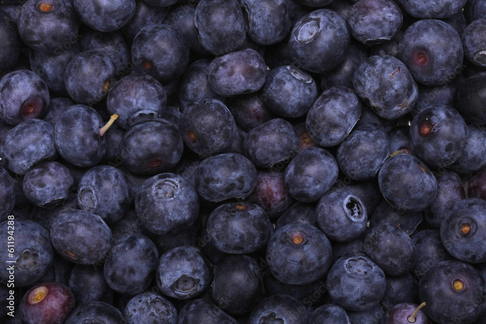 Blueberries Blueberries