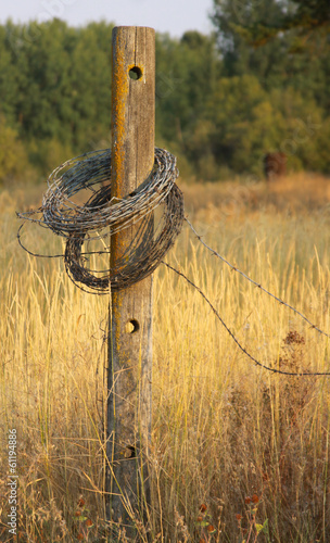 Old Barbed Wire Fencing.