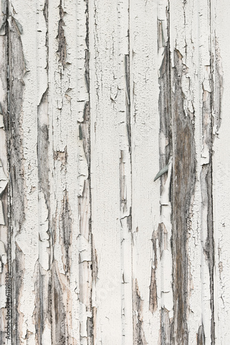 Grungy white wooden wall with rough texture