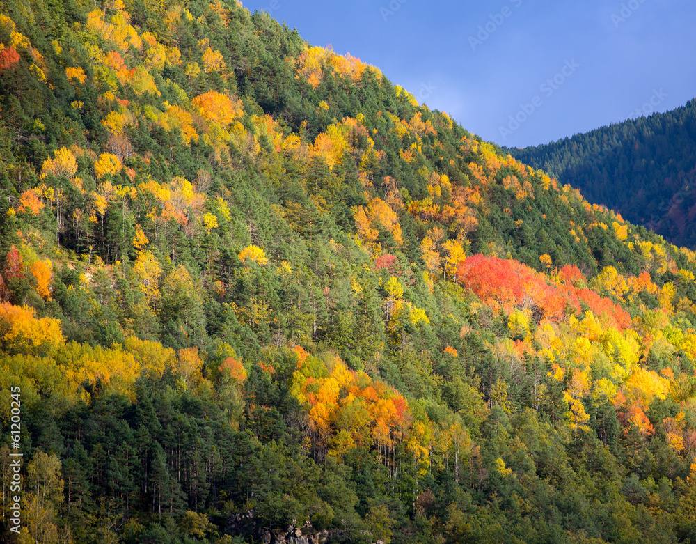 Autumn forest in Pyrenees Valle de Ordesa Huesca Spain Autumn forest in Pyrenees Valle de Ordesa Huesca Spain