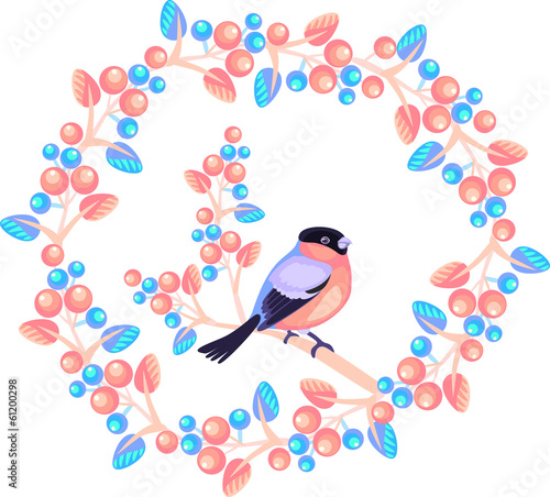 bullfinch