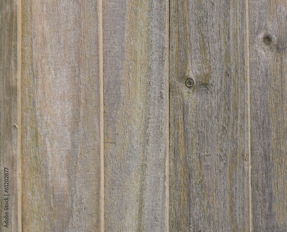Obraz premium Wood panel background
