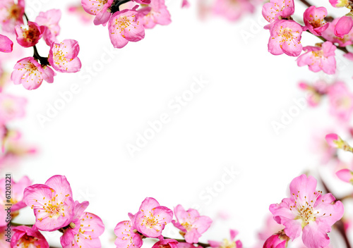 peach flowers frame