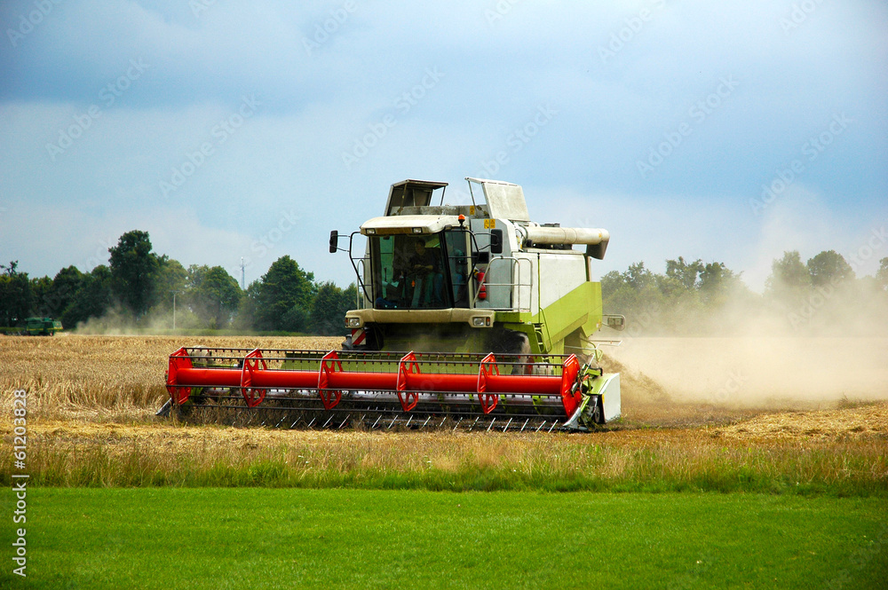 Fototapeta premium Combine harvester at work harvesting a field of wheat.