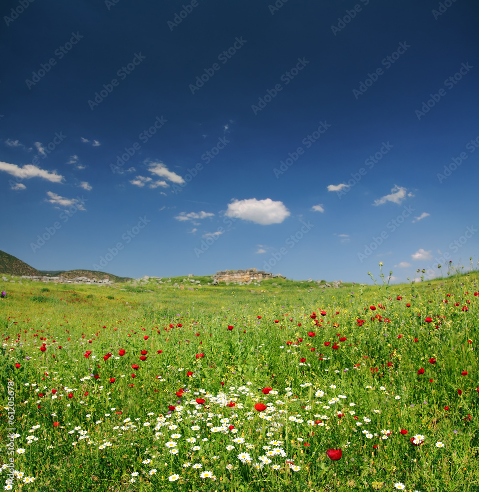 spring mountain landscape in Turkey