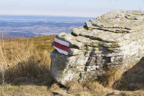 Fototapeta Naklejka Na Ścianę i Meble -  Bieszczady