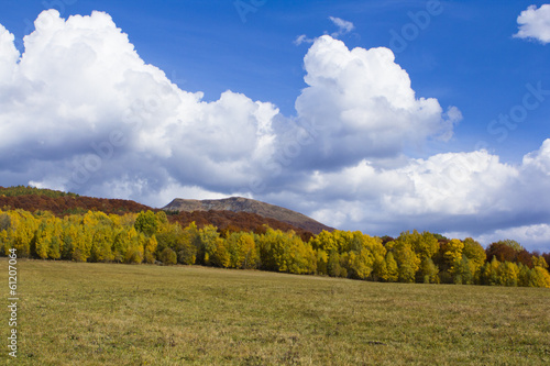 Fototapeta Naklejka Na Ścianę i Meble -  Bieszczady