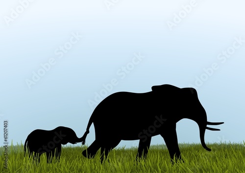 Mother African Elephant