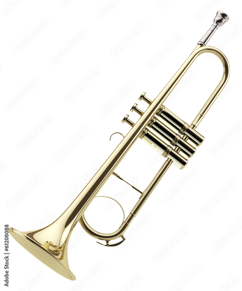 Obraz premium Trompeta