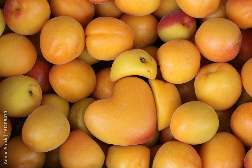 apricot with heart love apricot with heart love