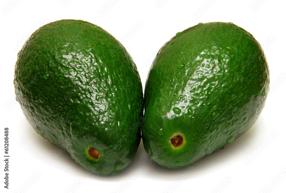 Avocado Avocado
