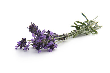Gartenposter Lavendelblüten Lavendel  © L.Bouvier
