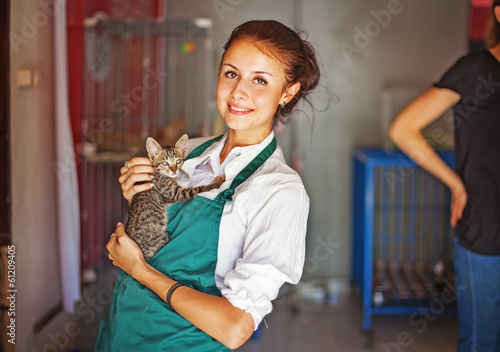 Quadro em tela woman working in animal shelter