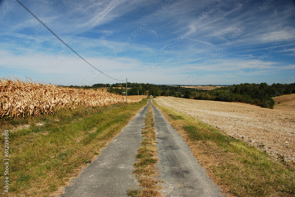 Chemin de campagne traversant les champs Chemin de campagne traversant les champs