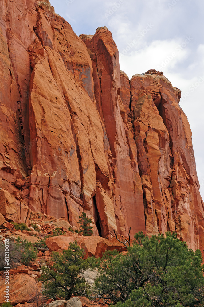 Red Rock Cliffs in the Desert