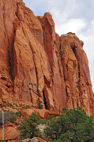 Red Rock Cliffs in the Desert