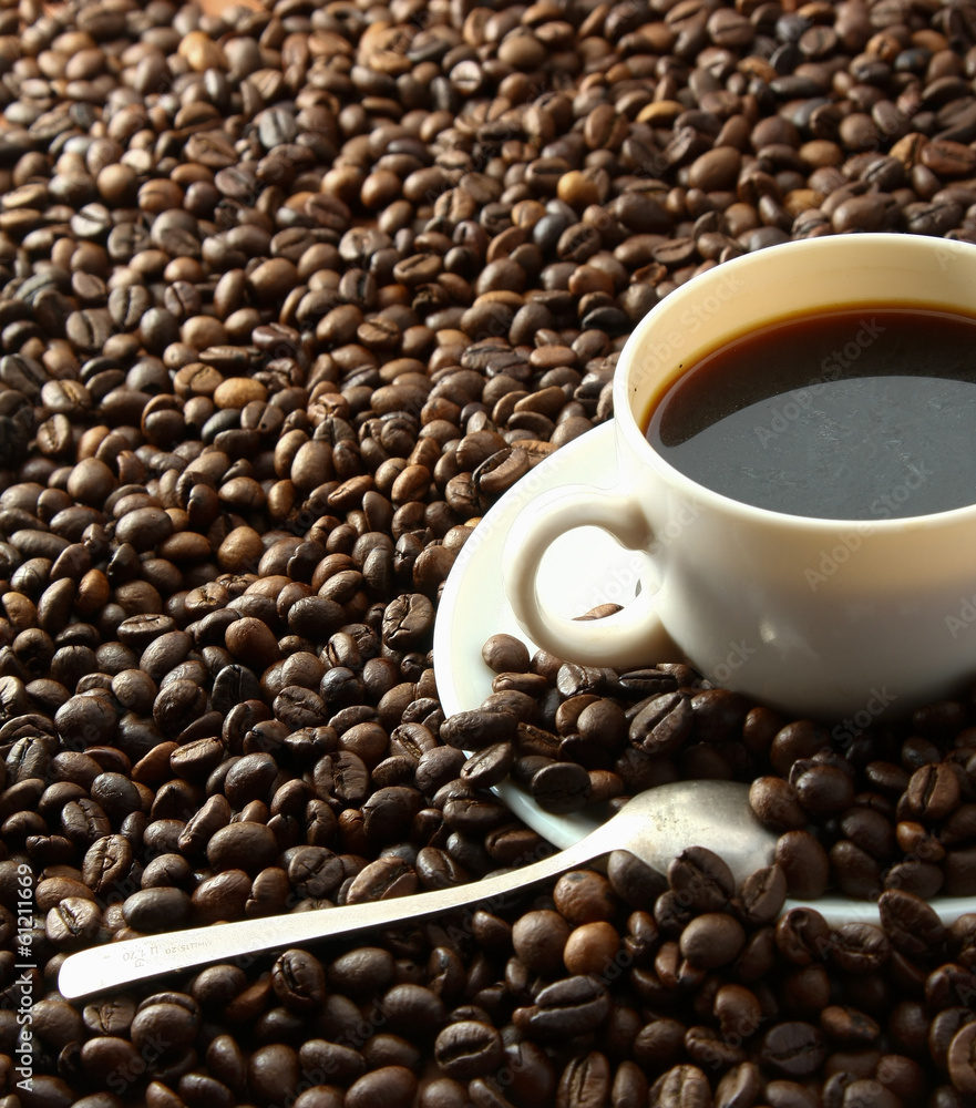 Fototapeta premium coffee beans with white cup.